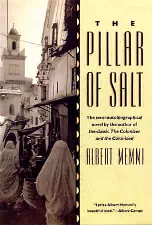 Book cover: The Pillar of Salt