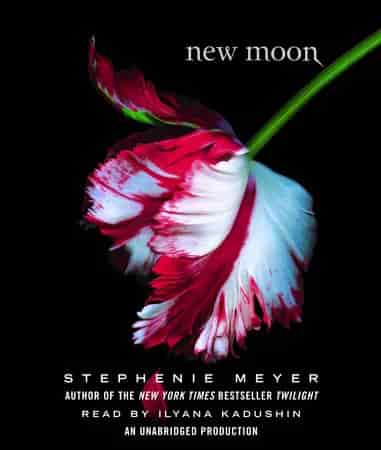 Book cover: New Moon