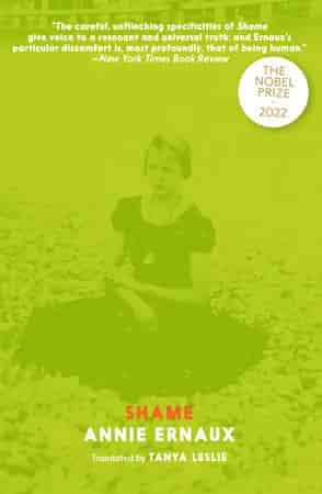 Book cover: Shame