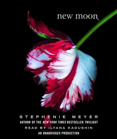 Book cover: New Moon