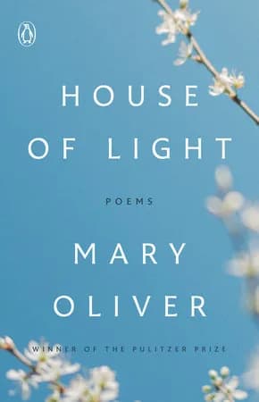 Book cover: House of Light