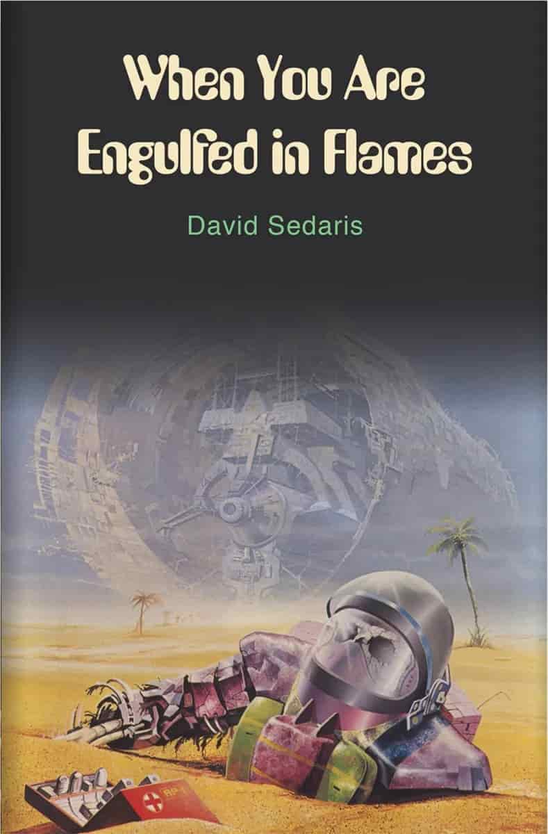 Book cover: When You Are Engulfed In Flames