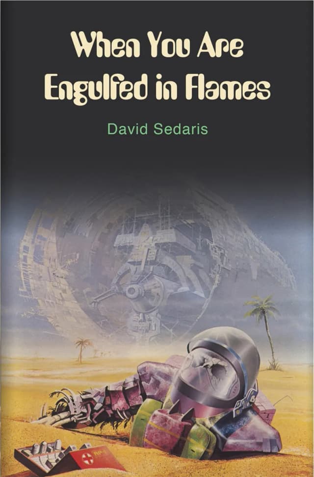 Book cover: When You Are Engulfed In Flames