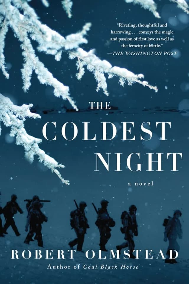 Book cover: The Coldest Night
