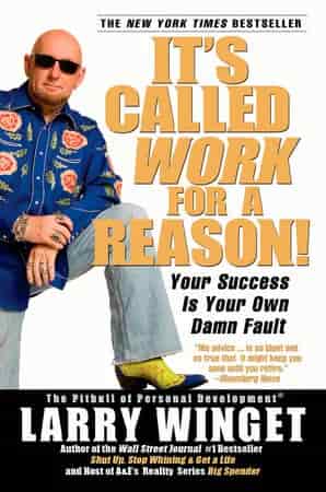 Book cover: It's Called Work for a Reason!