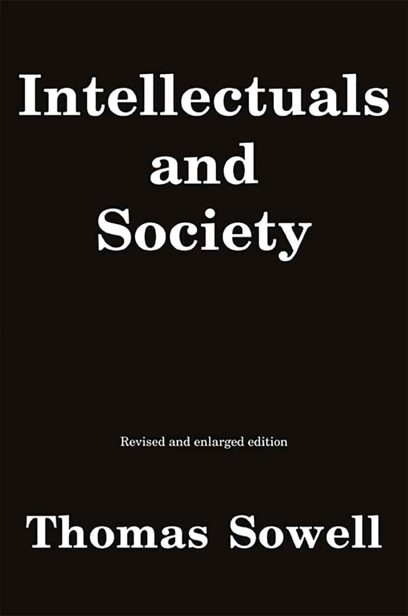Book cover: Intellectuals and Society