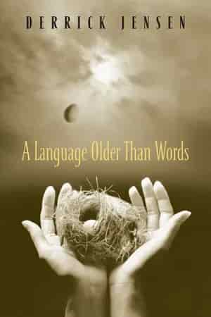 Book cover: A Language Older Than Words