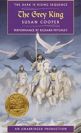 Book cover: The Grey King
