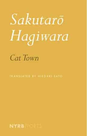 Book cover: Cat Town