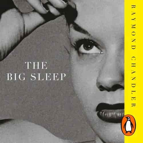 Book cover: The Big Sleep