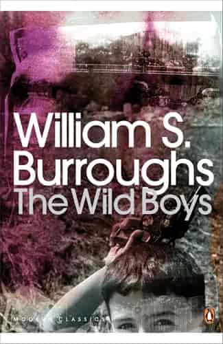 Book cover: The Wild Boys