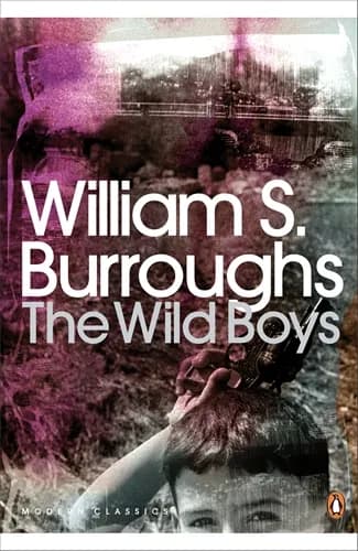 Book cover: The Wild Boys