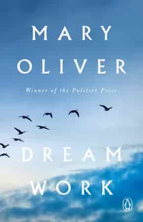 Book cover: Dream Work