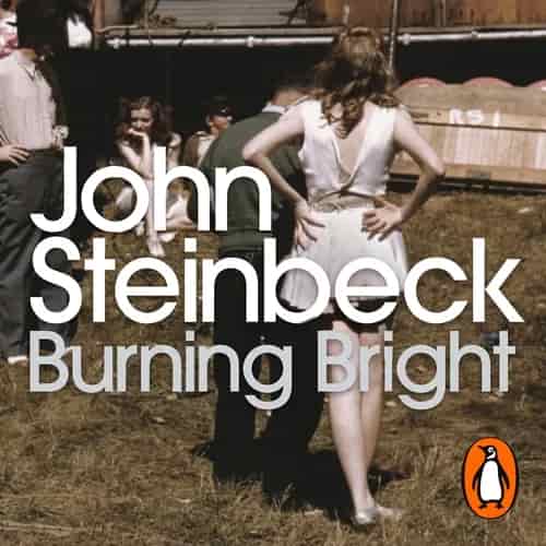 Book cover: Burning Bright