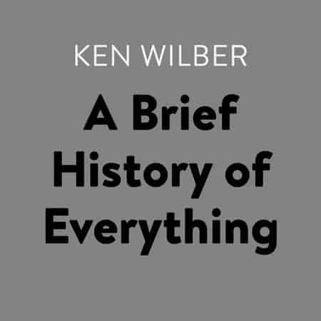 Book cover: A Brief History of Everything