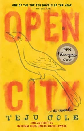 Book cover: Open City
