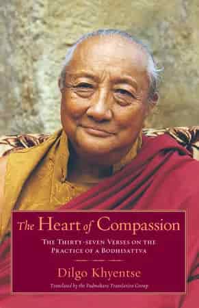 Book cover: The Heart of Compassion