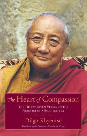Book cover: The Heart of Compassion