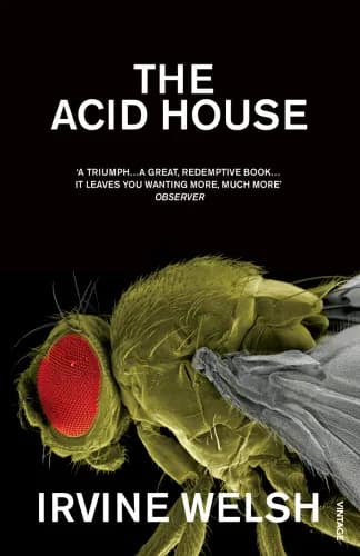 Book cover: The Acid House