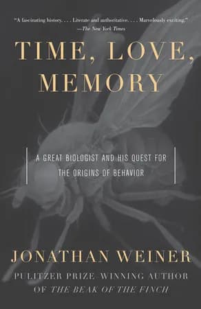 Book cover: Time, Love, Memory