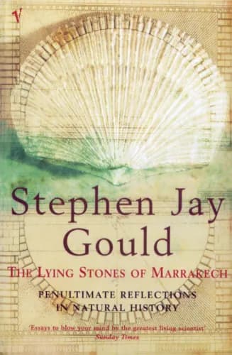 Book cover: The Lying Stones of Marrakech