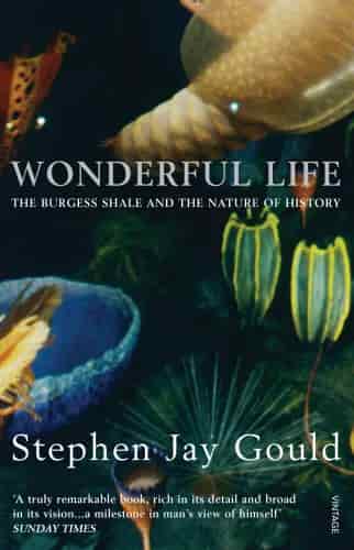 Book cover: Wonderful Life