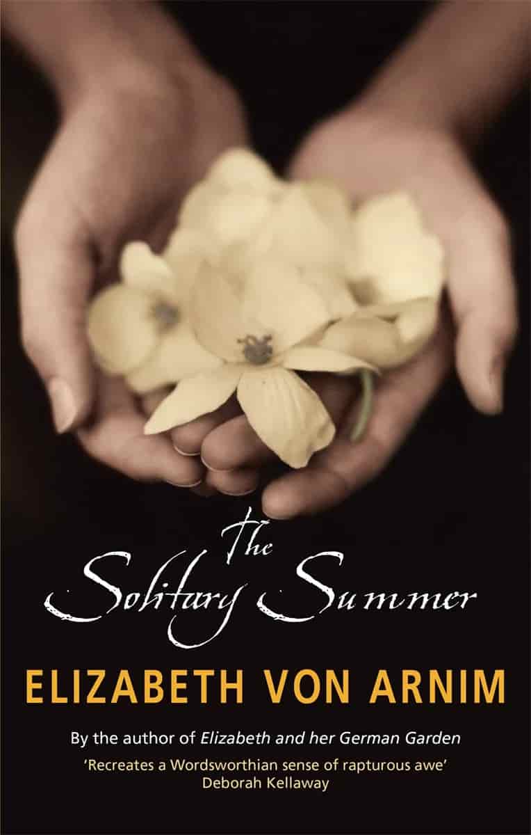 Book cover: The Solitary Summer